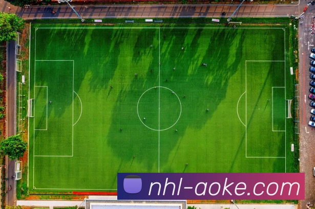 澳客app发展历程